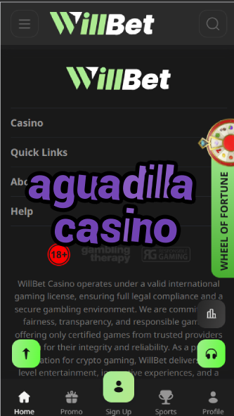 Aguadilla Casino - Puerto Rico Casino Guide-casinoorder.vip